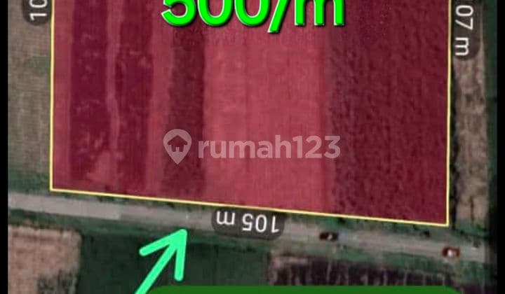 Industrial land in the Jombang area can be used for factories or warehouses.