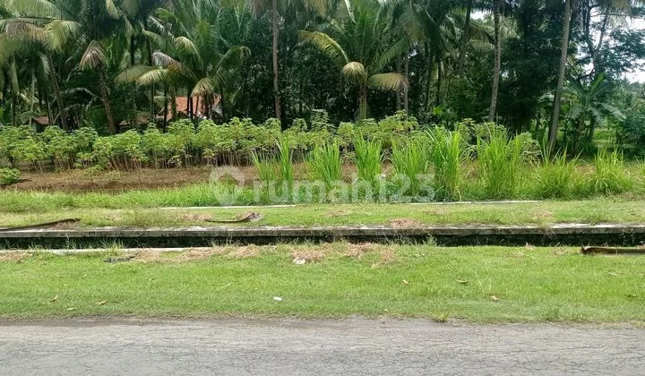 Tanah Sawah Lokasi Startegis Wates Kulon Progo