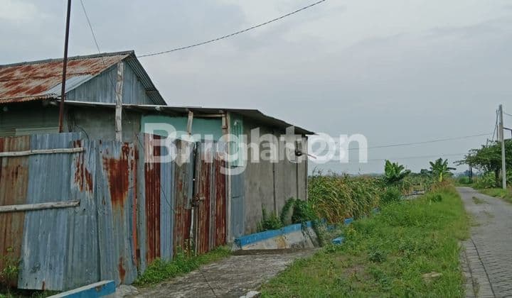 Gudang ex kandang ayam