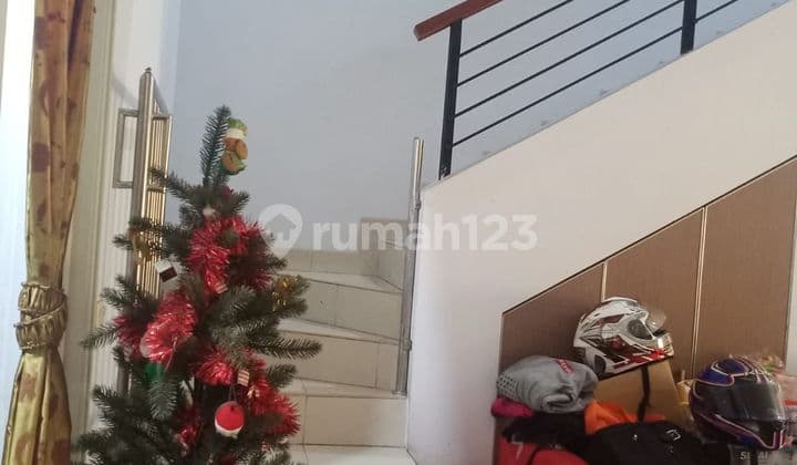 Cluster Chrysocolla, Phg