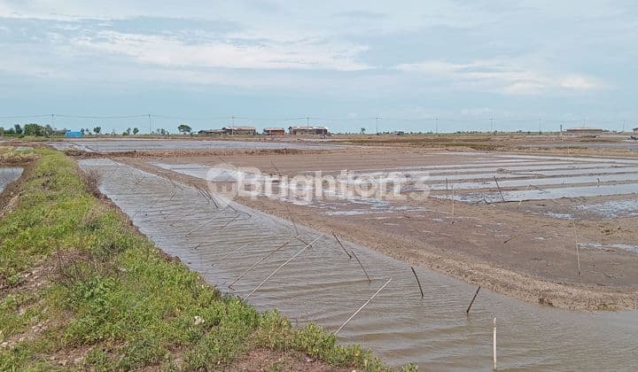 TURUN HARGA!!!Jual Tanah Empang Krangkeng Indramayu Jawa Barat