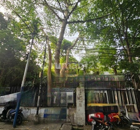 Bisa Bangun Gedung Tinggi Jual Tanah Kotak di Tanah Abang IV Jakarta Pusat Strategis, Sudah SHM & Memiliki Izin C1 Dekat Pasar Tanah Abang, Stasiun Gambir, Rumah Sakit Budi Kemuliaan