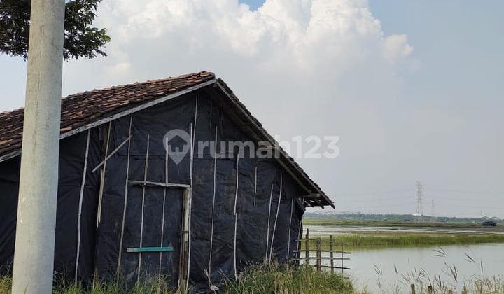 Jawar Benowo Pond Land Suitable for Business