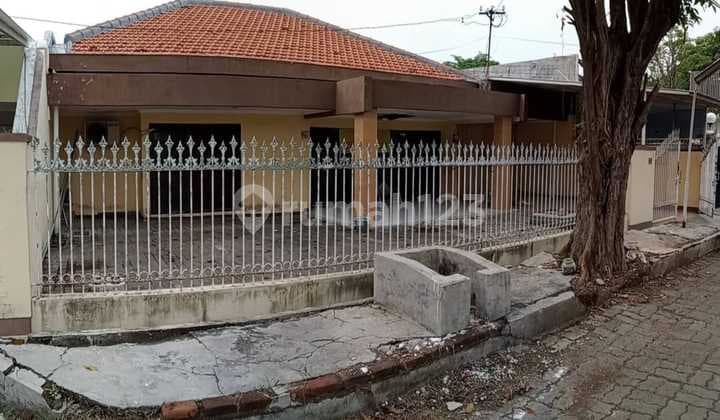 Rumah Lama Terawat Beli Tanah Bonus Rumah Siap Nego Komplek Dharmahusada Surabaya Strategis Dekat Superindo, Kaliwaron, Unair, Kertajaya, Gubeng