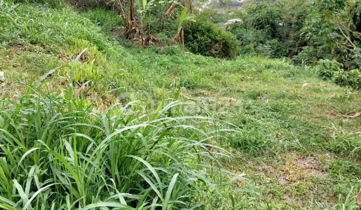 Tanah Bandung Utara Parompong Suasana Nyaman
