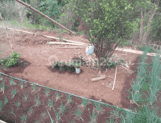 TANAH LUAS DIDAERAH CISARUA CIMAHI