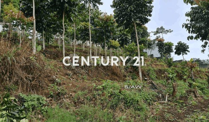 Tanah Untuk Cafe Villa Bandung Utara Dekat Lembang