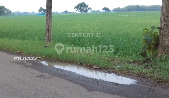 Tanah Luas dan Strategis di Ligung Majalengka
