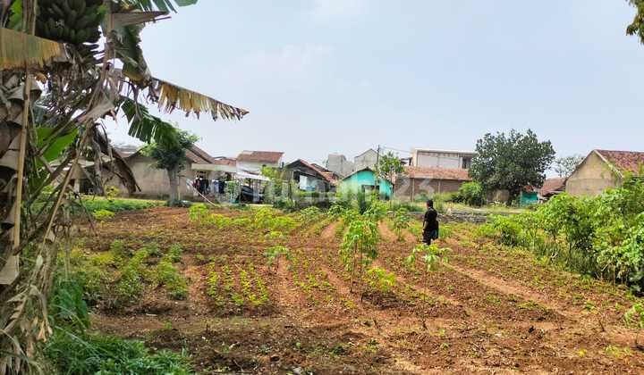Tanah Berada di Pinggir Jalan Raya Rancamanyar
