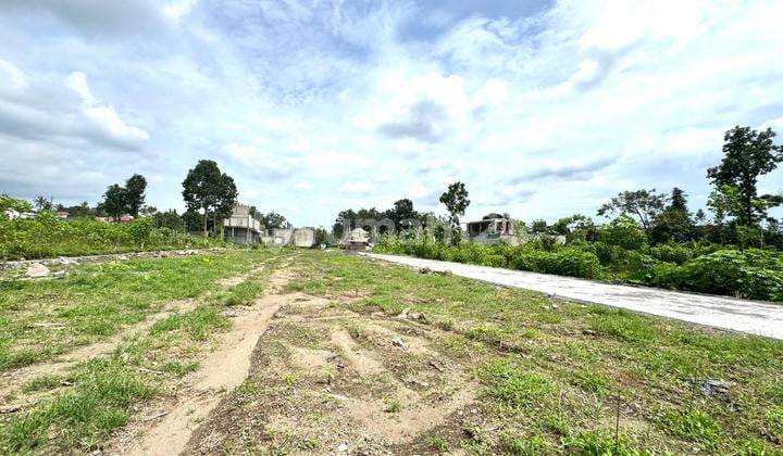 Prospek Bangun Kos, Tanah Kawasan Kos Kampus