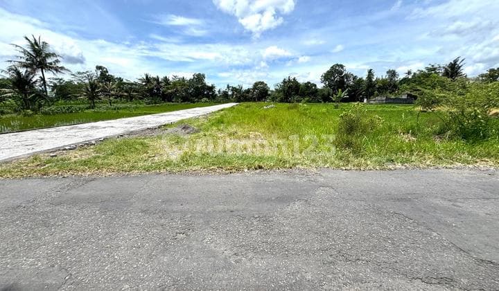 Affordable Land for Sale in Sleman Jogja, SHMP Ready for Name Transfer