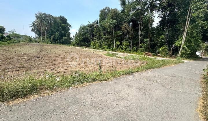 Belakang Kampus, Tanah Murah Prospek Bangun Kos