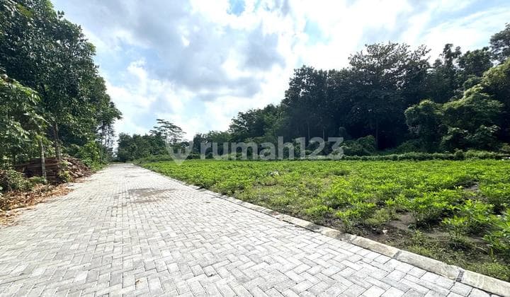 Tanah Belakang Kampus UII Jogja, Prospek Investasi