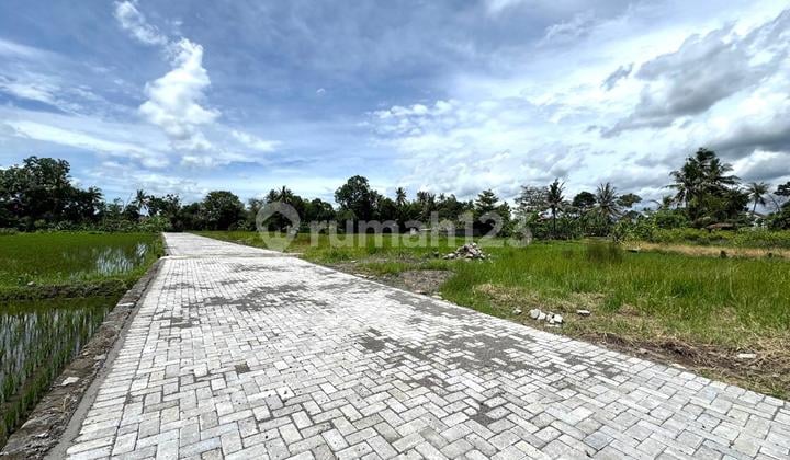 Jual Murah Tanah Belakang Kampus Uii Jogja, SHM Ready