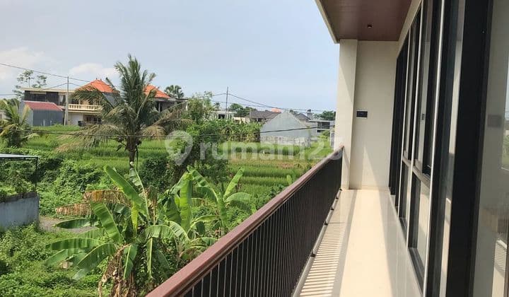 Brand New Villa Kedungu Tanah Lot Canggu Shm