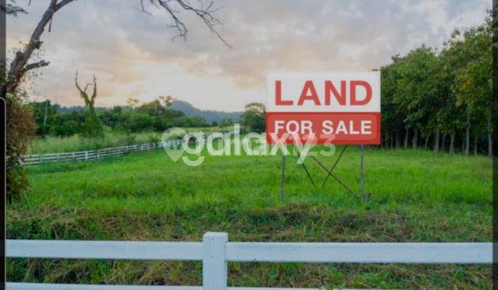 JUAL TANAH KAVLING STRATEGIS TUBAN JUAL TANAH KAVLING STRATEGIS TUBAN