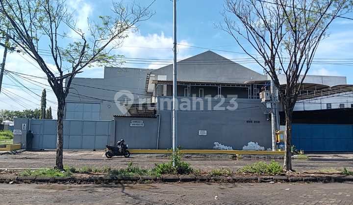 Gudang Bagus Murah 1 Lantai, di Benowo Romokalisari Maspion 26279xxxx