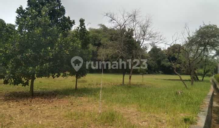 Disewakan Kavling Tanah Kawasan Industri Tigaraksa Tgrg