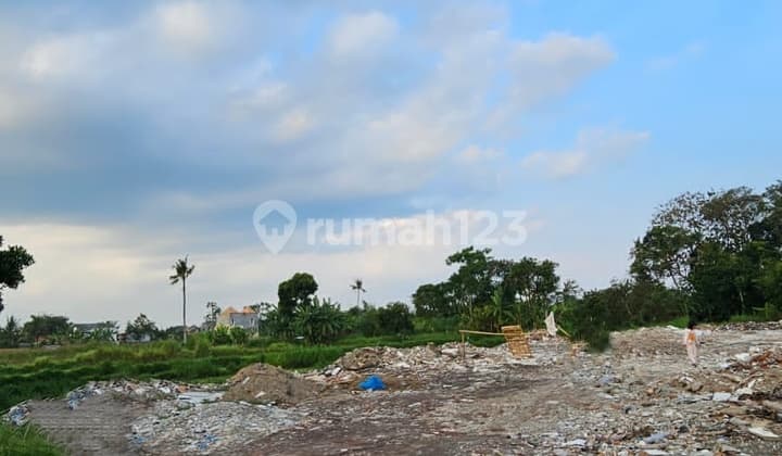 Disewakan Tanah Luas & Murah Ngaglik Sleman Area Palagan