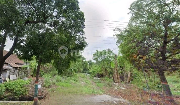 Disewakan Tanah Luas Ngaglik Area Palagan Dekat Hyatt,psr Rejodani,al Azhar,ugm Disewakan Tanah Luas Ngaglik Area Palagan Dekat Hyatt,psr Rejodani,al Azhar,ugm