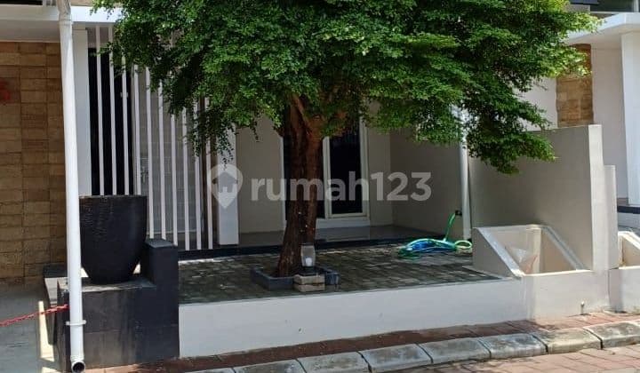 Disewakan Rumah Murah Furnished Dekat Umy,rs Pku Gamping,alma Ata,universitas Mercu Buana