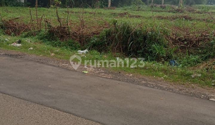 Di Jual Lahan Bagus dan Aman di Desa Tegal Kemang Bogor