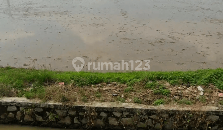 Di Jual Tanah Sawah Di Tambelang Bekasi