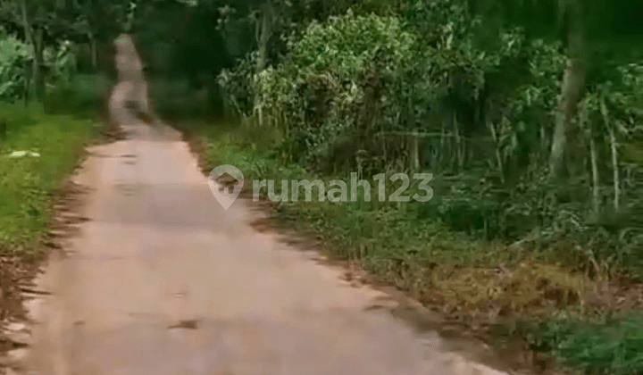 Lahan Luas 23000 Jual Murah Di Jonggol Bogor