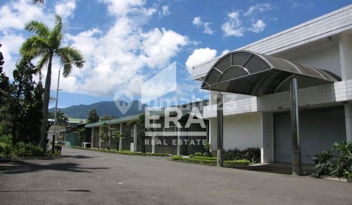 Former Cipanas Drug Factory Product 140 Types of Drugs & Vitamins