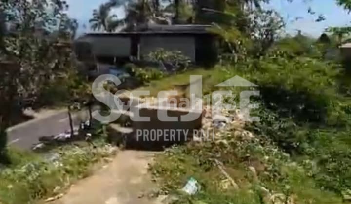 TANAH STRATEGIS HAK MILIK DIJUAL DEKAT DENGAN PURA BERATAN DAN JATILUWIH - SLFC018