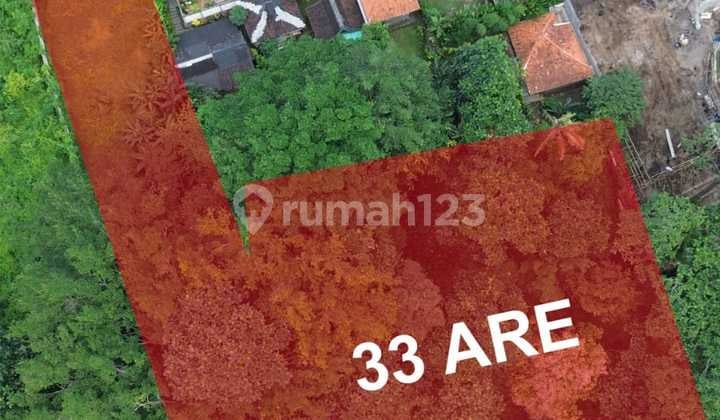 The Last Riverfront Land In North Canggu - Wide Views, Pure Energy - Sllc02