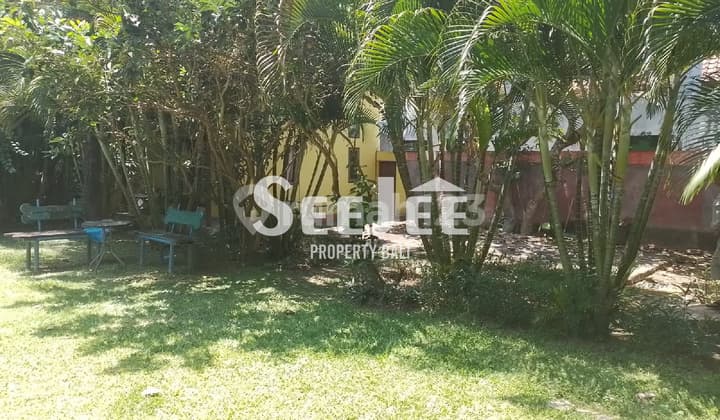 For Lease / Disewakan Rare Land In Berawa Canggu - Perfect For Private Home - Sllc013