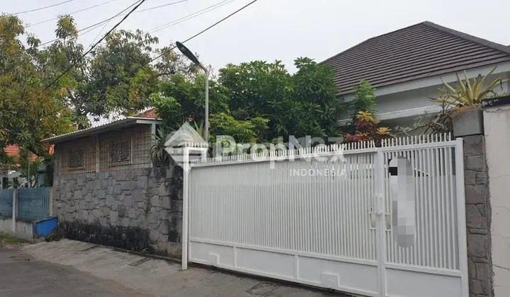 PUCANG JAJAR UTARA RUMAH ASRI DAN SENI