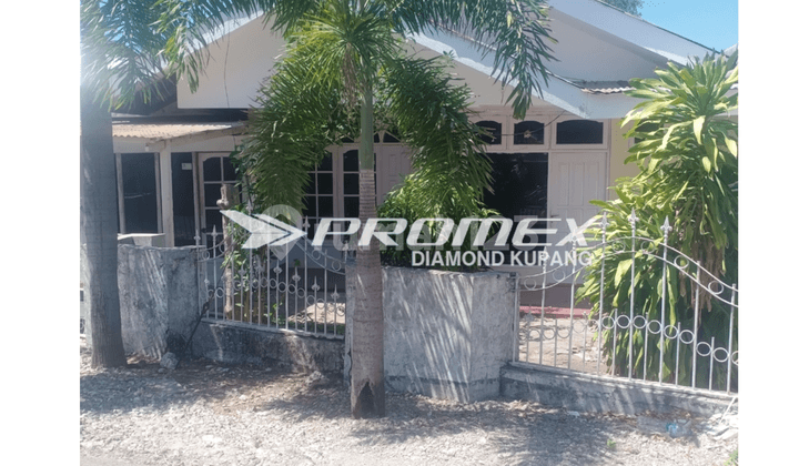Disewakan Rumah Bagus di Jalan Palapa, Kota Kupang Ntt
