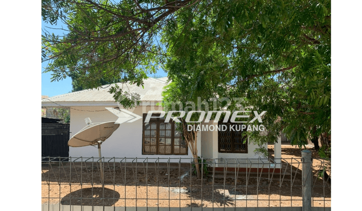Disewakan Rumah Bagus di Tdm, Kota Kupang