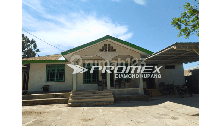 Disewakan Rumah Bagus di Kayu Putih, Kupang