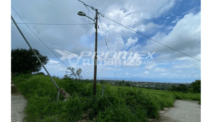 Dijual Tanah Luas di Bello, Kota Kupang Ntt