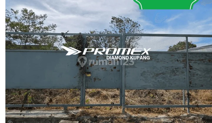 DI JUAL TANAH SUPER STRATEGIS LOKASI PENFUI KOTA KUPANG NTT DI JUAL TANAH SUPER STRATEGIS LOKASI PENFUI KOTA KUPANG NTT
