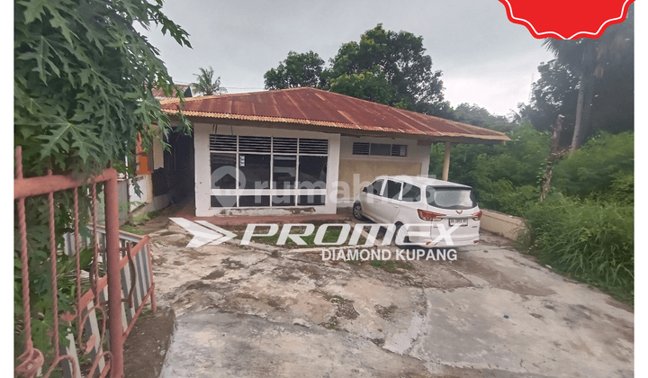 FOR RENT HOUSE IN KUANINO AREA, KUPANG CITY