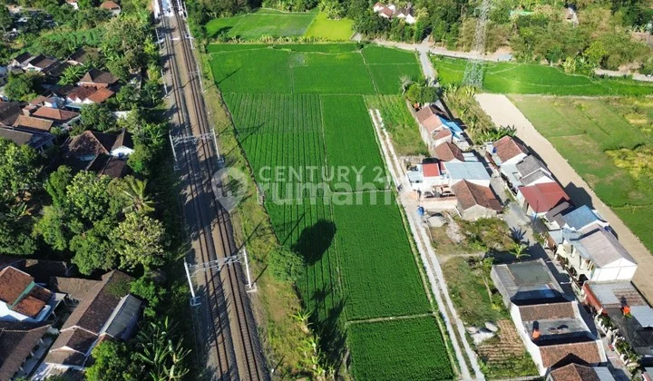 Investasi Jangka Panjang Tanah Sawah Potensial
