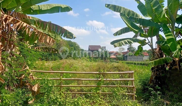 Tanah LT 1090 M2 Di Maguwoharjo Cocok Untuk Hunian Atau Gudang
