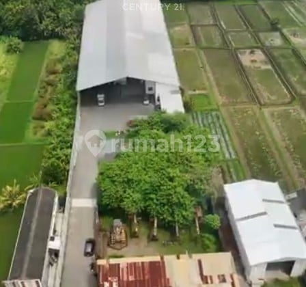 Disewakan Gudang Bisa Diperlebar Di Pinggir Jalan Ringroad Barat