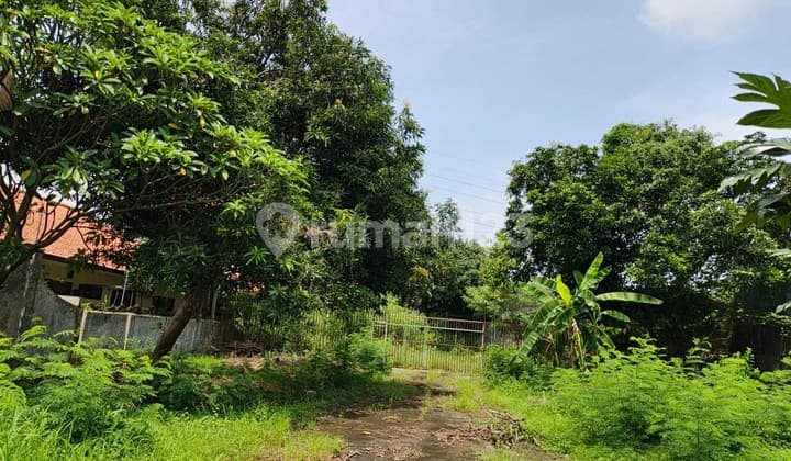 Sewa Tanah Strategis Daerah Gayamsari Semarang Timur - 11165