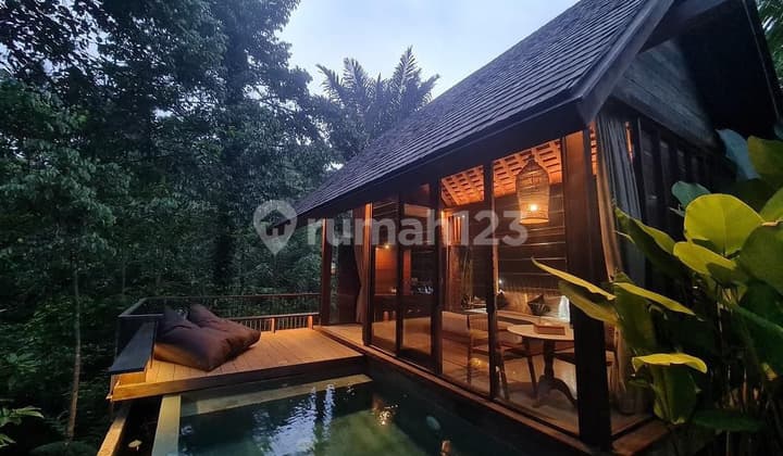 Villa Unik View hutan Tropis Bintang 4 Area Ubud