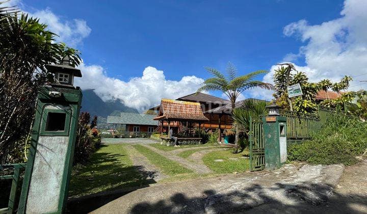 Tanah dan Villa Masih Aktif Area Bedugul View Danau Buyan