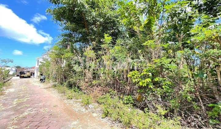 Tanah Area Ungasan Jimbaran Bali Cocok Buat Investasi Villa
