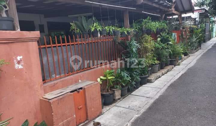 Rumah Layak Huni SHM Kalibaru Bungur Senen Jakarta Pusat