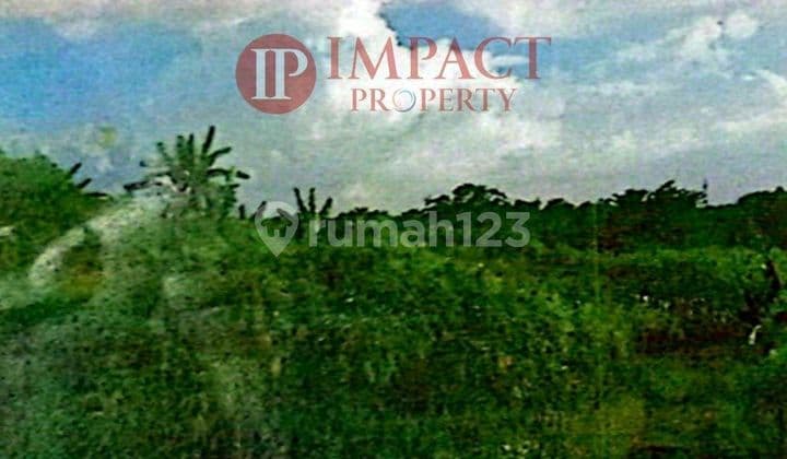 Land for Sale in Sentul