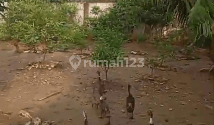 Dijual Tanah 1,388M2 Tanjungsari Cikarang Utara