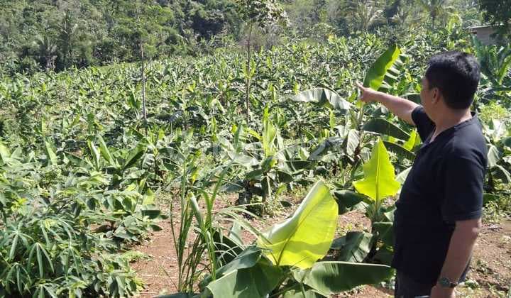 Dijual Tanah Pinggir Jalan Nasional Cikalongkulon Kab.cianjur Jawa Barat